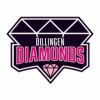 Dillingen Diamonds