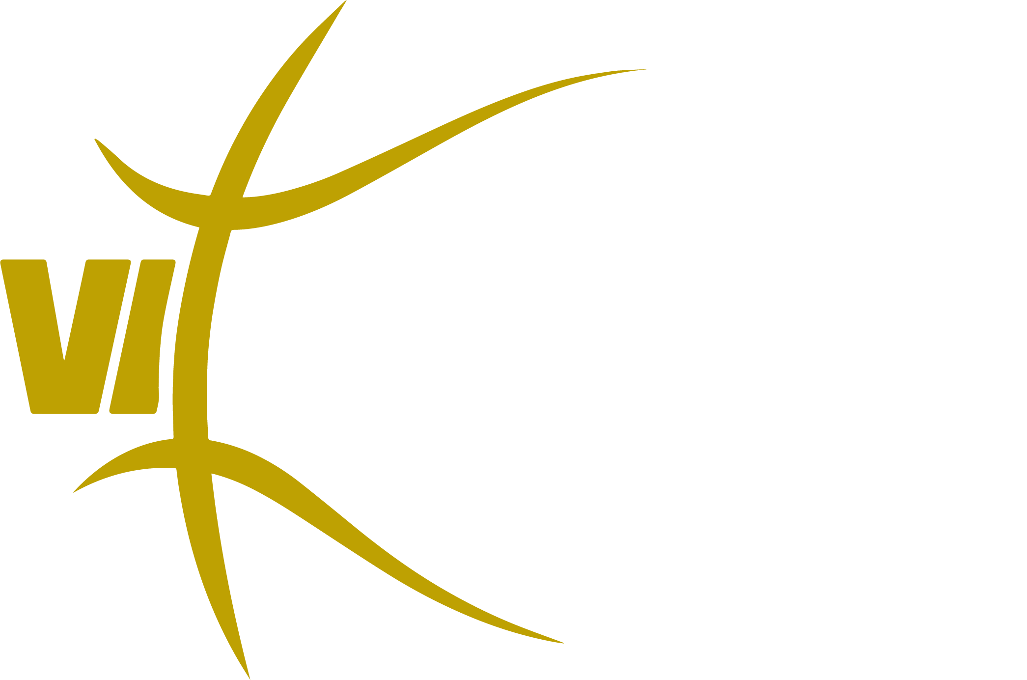 VIMODROM Baskets Jena logo